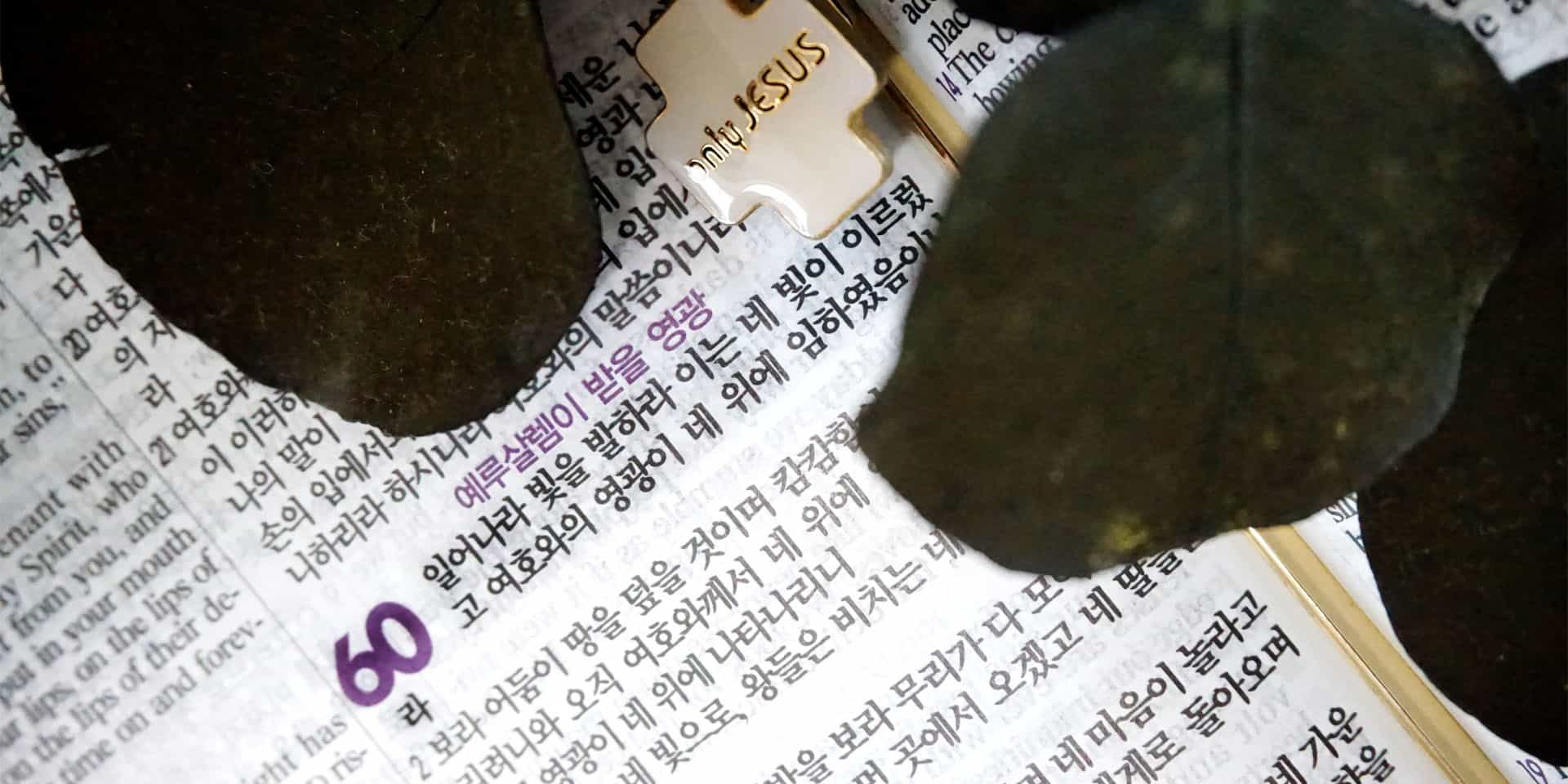 한빛교회 말씀